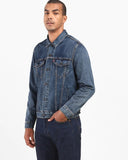 The Trucker Jacket - Mayze Trucker